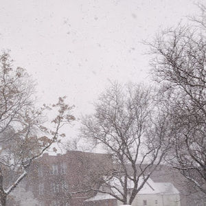 Meet your Posher, Antonio